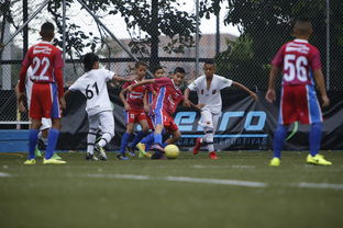 乐鱼体育网页登录-中国足球联赛青少年发展人才储备现状，中国足球青训人才